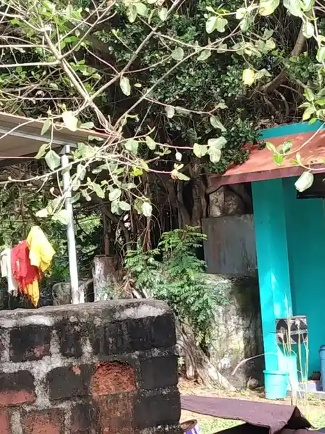 Arulmigu Sastha Temple, Siva Pada, Killiyoor - 629177 Arulmigu Sastha Temple, Siva Pada, கிள்ளியூர் - 629177, Kanyakumari - Ancient Temple Architecture and History Image 3