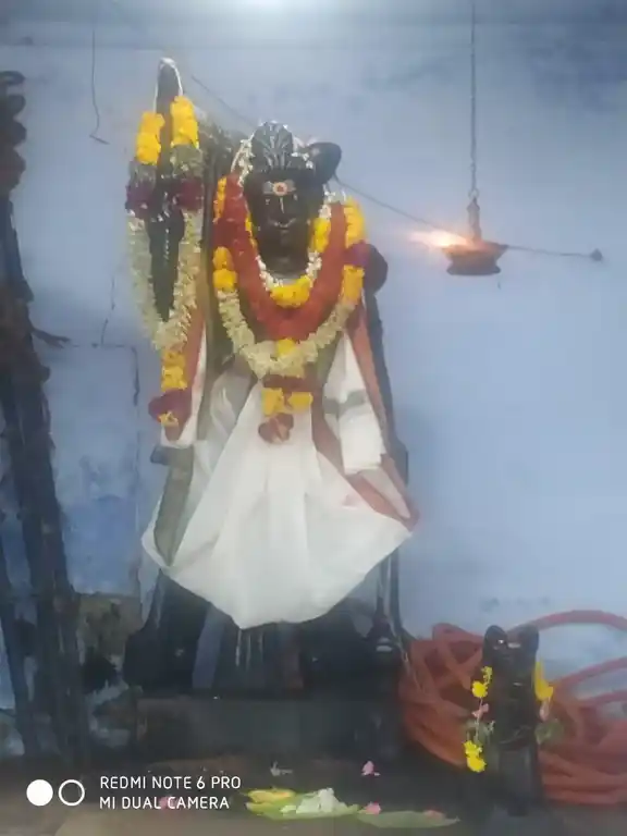 Arulmigu Sastha Temple, T.N.Pudukudi - 627855 அருள்மிகு சாஸ்தா திருக்கோயில், T.N.Pudukudi - 627855, Tenkasi - Ancient Temple Architecture and History Image 3