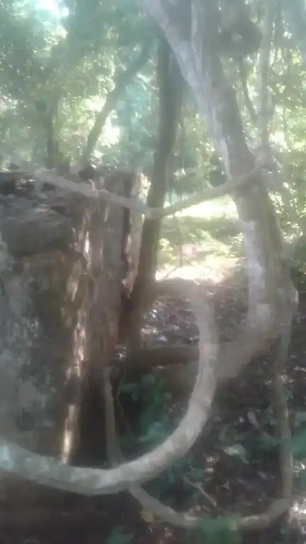 Arulmigu Sastha Temple, Vegampadi, Paloor - 629177 Temple