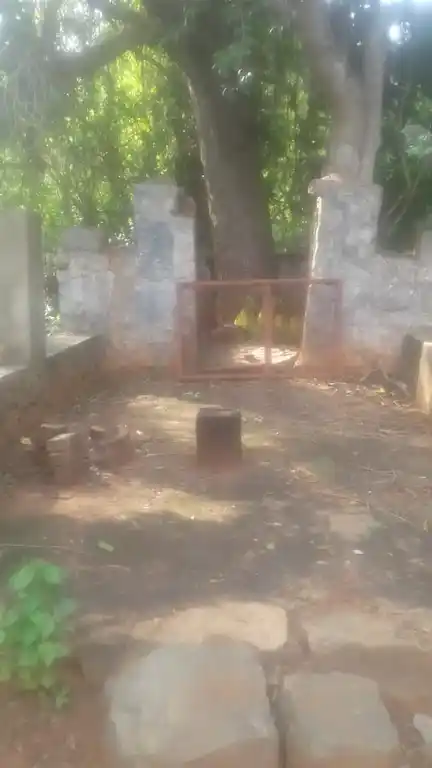 Arulmigu Sastha Temple, Vegampadi, Paloor - 629177 Arulmigu Sastha Temple, Vegampadi, பாலூர் - 629177, Kanyakumari - Ancient Temple Architecture and History Image 2