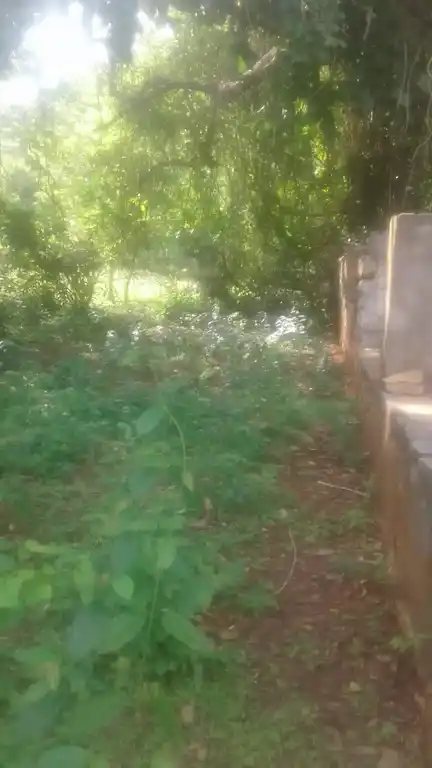 Arulmigu Sastha Temple, Vegampadi, Paloor - 629177 Arulmigu Sastha Temple, Vegampadi, பாலூர் - 629177, Kanyakumari - Ancient Temple Architecture and History Image 3