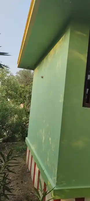 Arulmigu Sastha Temple, Villiseri - I - 628503 அருள்மிகு சாஸ்தா திருக்கோயில், Villiseri - I - 628503, Thoothukudi - Ancient Temple Architecture and History Image 4