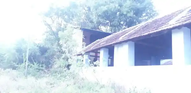 Arulmigu Sastha Thirunamam Udayar Temple, Near Keelapuliyur Kulam, Keelapuliyur - 627811 அருள்மிகு சாஸ்தா திருநாமம் உடையார் திருக்கோயில், -, Keelapuliyur - 627811, Tenkasi - Ancient Temple Architecture and History Image 3