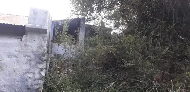 Arulmigu Sastha Thirunamam Udayar Temple, Near Keelapuliyur Kulam, Keelapuliyur - 627811 அருள்மிகு சாஸ்தா திருநாமம் உடையார் திருக்கோயில், -, Keelapuliyur - 627811, Tenkasi - Ancient Temple Architecture and History Image 4