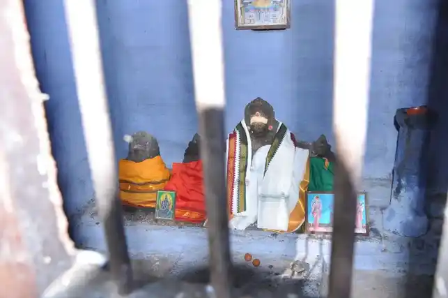 Arulmigu Sastha Venkalamudaiyar Temple, Idaikaal - 627804 அருள்மிகு சாஸ்தா வெங்கலமுடையார் திருக்கோயில், Idaikaal - 627804, Tenkasi - Ancient Temple Architecture and History Image 5