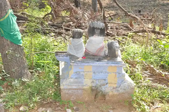 Arulmigu Sastha Venkalamudaiyar Temple, Idaikaal - 627804 அருள்மிகு சாஸ்தா வெங்கலமுடையார் திருக்கோயில், Idaikaal - 627804, Tenkasi - Ancient Temple Architecture and History Image 6