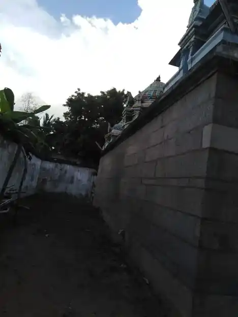 Arulmigu Satchinathaswamy Temple, Avalivanallur - 612802 அருள்மிகு சாட்சிநாதசாமி திருக்கோயில் அவளிவநல்லூர், அவளிவநல்லூர் - 612802, Thiruvarur - Ancient Temple Architecture and History Image 4