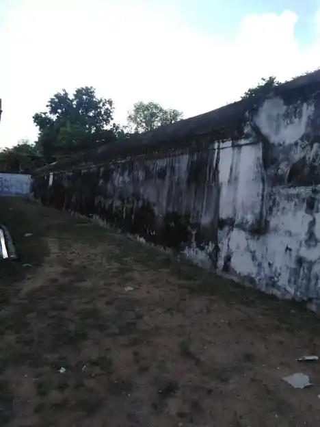 Arulmigu Satchinathaswamy Temple, Avalivanallur - 612802 அருள்மிகு சாட்சிநாதசாமி திருக்கோயில் அவளிவநல்லூர், அவளிவநல்லூர் - 612802, Thiruvarur - Ancient Temple Architecture and History Image 9