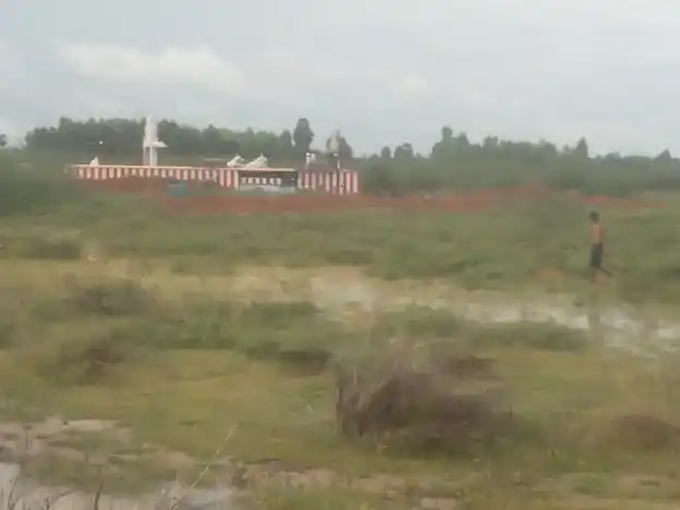 Arulmigu Satharudiya Ayyanar Temple, Panankudi - 630556