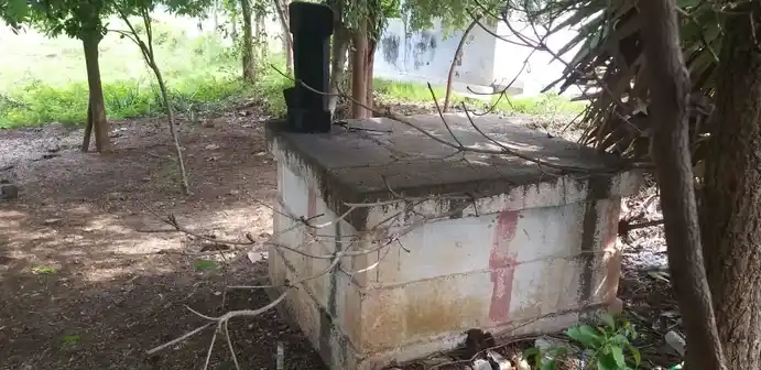 Arulmigu Sathayyanar Temple, Vakaikulam - 625706