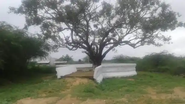 Arulmigu Sathiyanatheswarar Temple, Sumangali - 604402 அருள்மிகு சத்தியநாதீஸ்வரர் திருக்கோயில், Sumangali - 604402, Tiruvannamalai - Ancient Temple Architecture and History Image 7