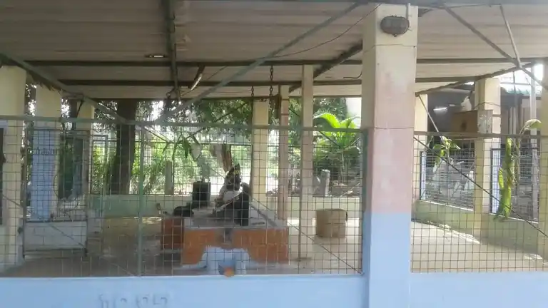 Arulmigu Sathrathuchithivinayakar Temple, Koundanpalayam - 638506 அருள்மிகு சத்திரத்து சித்தி விநாயகர் திருக்கோயில், Koundanpalayam - 638506, Erode - Ancient Temple Architecture and History Image 4