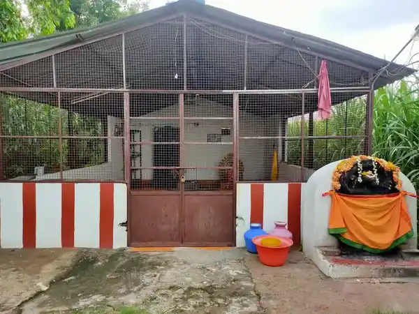 Arulmigu Sathurvedha Nayagi Udanurai Jambukeswarar Temple, Chkarthamatai - 606806 அருள்மிகு சதுர்வேதநாயகி உடனுறை ஜம்புகேஸ்வரர் திருக்கோயில், Chkarthamatai - 606806, Tiruvannamalai - Ancient Temple Architecture and History Image 2