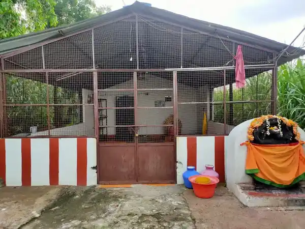 Arulmigu Sathurvedha Nayagi Udanurai Jambukeswarar Temple, Chkarthamatai - 606806 அருள்மிகு சதுர்வேதநாயகி உடனுறை ஜம்புகேஸ்வரர் திருக்கோயில், Chkarthamatai - 606806, Tiruvannamalai - Ancient Temple Architecture and History Image 3