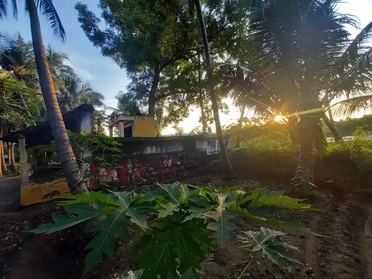 Arulmigu Satrasamy Temple, Solavandand - 625214