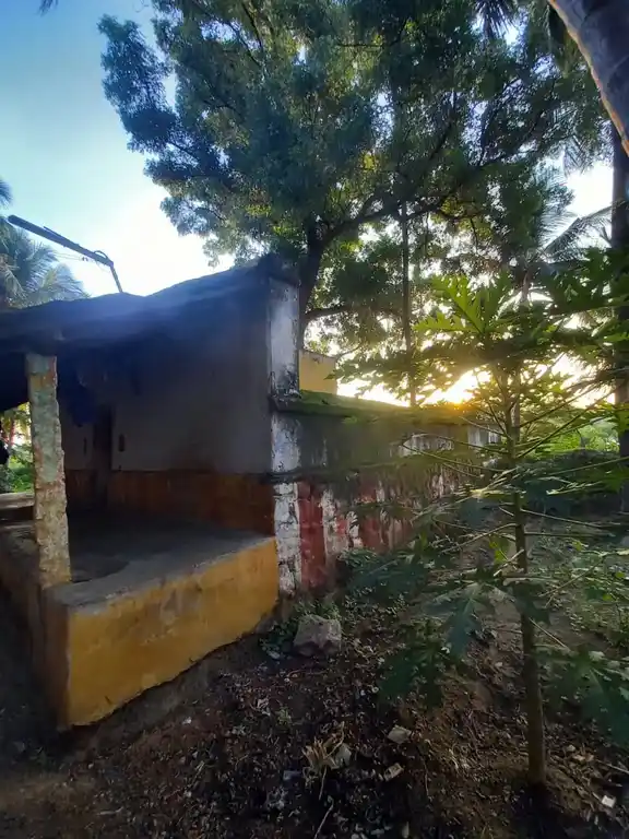 Arulmigu Satrasamy Temple, Solavandand - 625214 அருள்மிகு சாத்தார்சாமி திருக்கோயில், Solavandand - 625214, Madurai - Ancient Temple Architecture and History Image 3