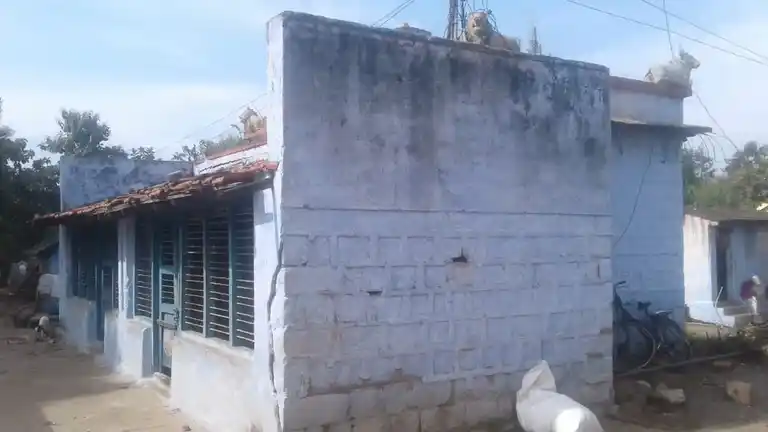 Arulmigu Savadipalayam Mariamman Temple, Savadipalayam, Chithur - 637101 அருள்மிகு சாவடிப்பாளையம் மாரியம்மன் திருக்கோயில், Savadipalayam, Chithur - 637101, Salem - Ancient Temple Architecture and History Image 2