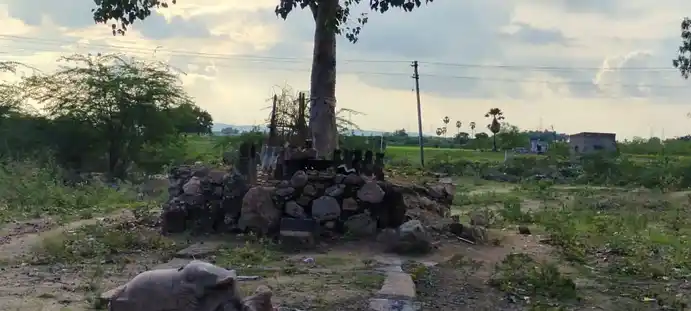 Arulmigu Savun Bagavathy Temple, Keelairal - 628802 அருள்மிகு சவுன்பகவதி திருக்கோயில், Keelairal - 628802, Thoothukudi - Ancient Temple Architecture and History Image 3