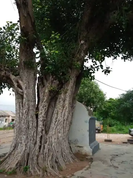 Arulmigu Seelaga Vinayagar Temple, Aniyapoor - 621307 Arulmigu Seelaga vinayagar Temple, Aniyapoor - 621307, Thiruchirappalli - Ancient Temple Architecture and History Image 3