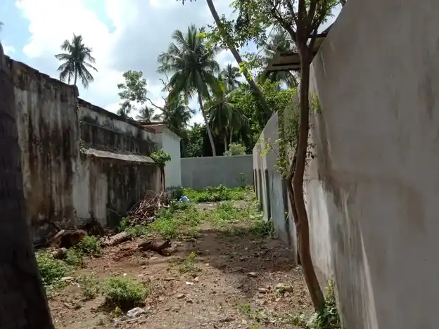 Arulmigu Seenevasaperumal Temple And Kasivisvanathaswamy Temple, Kalyanapruam, Thanjavur - 613201 அருள்மிகு சீனிவாசப்பெருமாள் மற்றும் காசிவிசுவநாதர் திருக்கோயில், Kalyanapruam, Thanjavur - 613201, Thanjavur - Ancient Temple Architecture and History Image 4