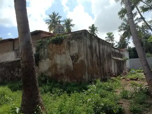 Arulmigu Seenevasaperumal Temple And Kasivisvanathaswamy Temple, Kalyanapruam, Thanjavur - 613201 அருள்மிகு சீனிவாசப்பெருமாள் மற்றும் காசிவிசுவநாதர் திருக்கோயில், Kalyanapruam, Thanjavur - 613201, Thanjavur - Ancient Temple Architecture and History Image 7