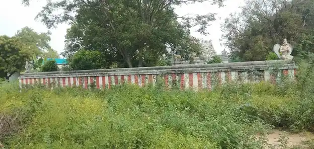 Arulmigu Seenivaasamperumal Temple, Viraalur - 621316 அருள்மிகு சீனிவாச பெருமாள் திருக்கோயில், Viraalur - 621316, Pudukkottai - Ancient Temple Architecture and History Image 3