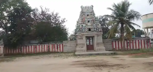 Arulmigu Seenivaasamperumal Temple, Viraalur - 621316 அருள்மிகு சீனிவாச பெருமாள் திருக்கோயில், Viraalur - 621316, Pudukkottai - Ancient Temple Architecture and History Image 4