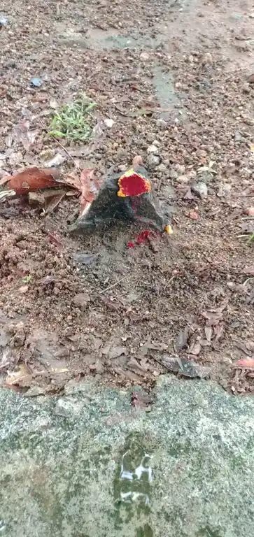 Arulmigu Seenivasa Perumal Temple, Arasudaiyanpattu - 606707 அருள்மிகு அய்யனார், திருக்கோயில், Arasudaiyanpattu - 606707, Tiruvannamalai - Ancient Temple Architecture and History Image 5