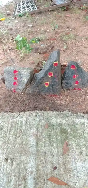 Arulmigu Seenivasa Perumal Temple, Arasudaiyanpattu - 606707 அருள்மிகு அய்யனார், திருக்கோயில், Arasudaiyanpattu - 606707, Tiruvannamalai - Ancient Temple Architecture and History Image 9