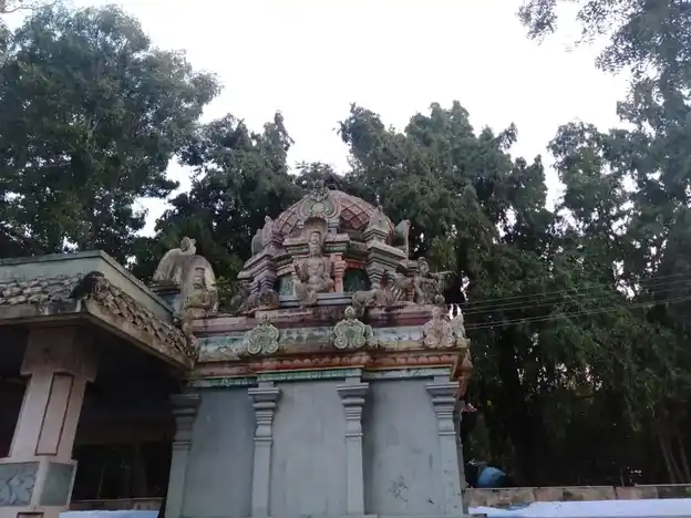 Arulmigu Seenivasa Perumal Temple, Dindigul - 624001 அருள்மிகு சீனிவாச பெருமாள் திருக்கோயில், திண்டுக்கல் - 624001, Dindigul - Ancient Temple Architecture and History Image 5