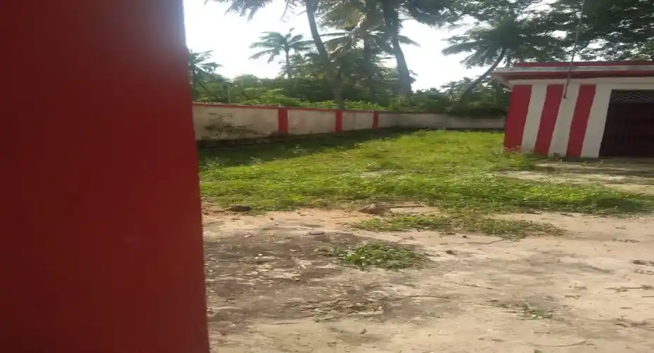 Arulmigu Seenivasa Perumal Temple, Kalampattu - 632202 அருள்மிகு சீனிவாசப் பெருமாள் திருக்கோயில், காலாம்பட்டு - 632202, Vellore - Ancient Temple Architecture and History Image 2