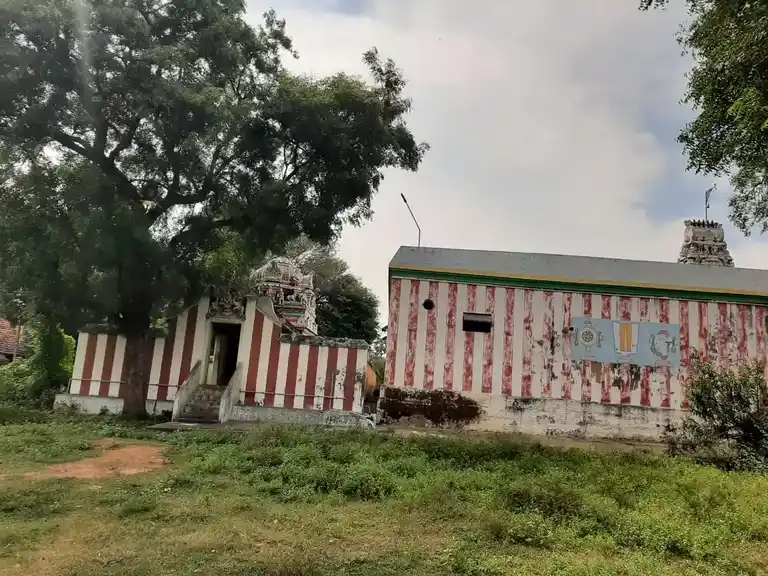 Arulmigu Seenivasa Perumal Temple, Kandanur - 630702 Arulmigu Seenivasa Perumal Temple, Kandanur - 630702, Sivagangai - Ancient Temple Architecture and History Image 2