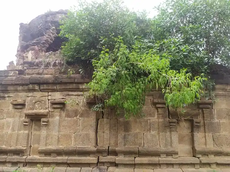 Arulmigu Seenivasaperumal Temple, Timmur - 621713 Arulmigu Seenivasaperumal Temple, Timmur, Timmur - 621713, Perambalur - Ancient Temple Architecture and History Image 3