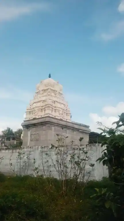 Arulmigu Seenvasaperumal Temple, Kattankolathur - 603203 அருள்மிகு சீனிவாசப்பெருமாள் திருக்கோயில், Kattankolathur - 603203, Chengalpattu - Ancient Temple Architecture and History Image 4