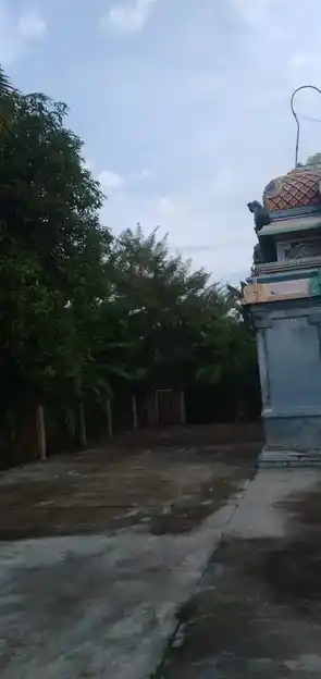 Arulmigu Seethaladevi Marriyamman Temple, Polagam - 609702 அருள்மிகு சீதளாதேவி மாரியம்மன் திருக்கோயில், Polagam - 609702, Nagapattinam - Ancient Temple Architecture and History Image 5