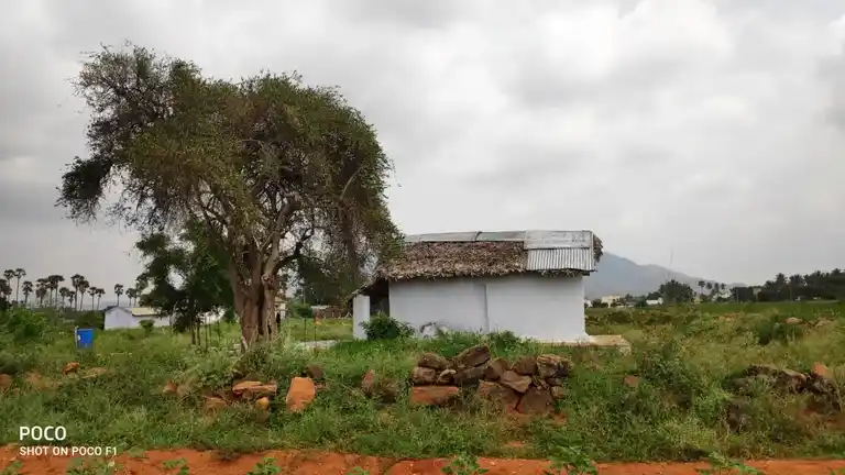 Arulmigu Selandiamman Temple, Javvathupatti - 624704