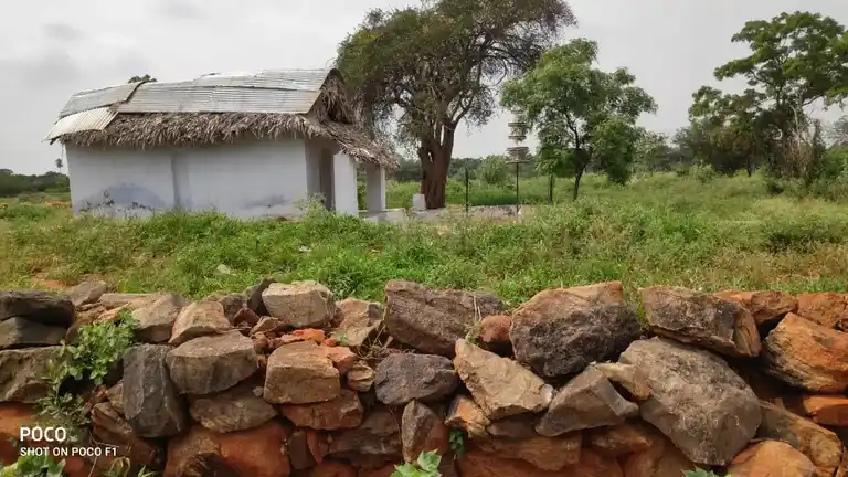 Arulmigu Selandiamman Temple, Javvathupatti - 624704 அருள்மிகு செல்லாண்டியம்மன் திருக்கோயில், Javvathupatti - 624704, Dindigul - Ancient Temple Architecture and History Image 7