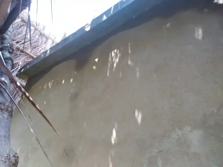 Arulmigu Selandiamman Temple, Kanavoipatty - 624308 Arulmigu Selandiamman Temple, Kanavoipatty - 624308, Dindigul - Ancient Temple Architecture and History Image 4