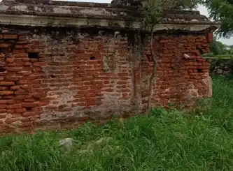 Arulmigu Selandiamman Temple, Thoppampatty - 624617 அருள்மிகு செல்லாண்டியம்மன் திருக்கோயில், Thoppampatty - 624617, Dindigul - Ancient Temple Architecture and History Image 3