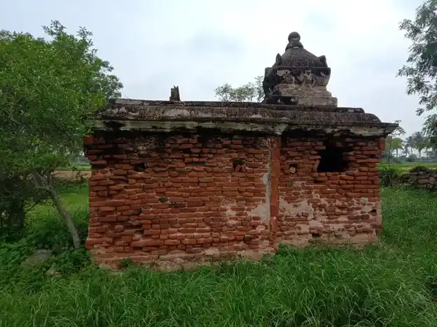 Arulmigu Selandiamman Temple, Thoppampatty - 624617 அருள்மிகு செல்லாண்டியம்மன் திருக்கோயில், Thoppampatty - 624617, Dindigul - Ancient Temple Architecture and History Image 5