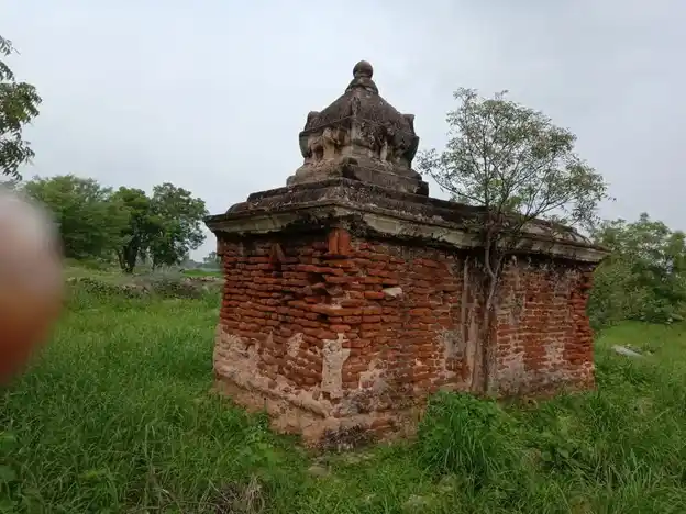 Arulmigu Selandiamman Temple, Thoppampatty - 624617 அருள்மிகு செல்லாண்டியம்மன் திருக்கோயில், Thoppampatty - 624617, Dindigul - Ancient Temple Architecture and History Image 7