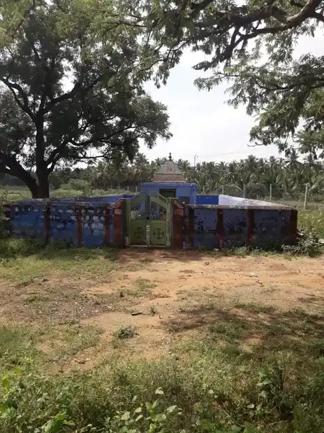 Arulmigu Selandiamman Temple, Vepanvalasu - 624613 அருள்மிகு செல்லாண்டியம்மன் கோயில், Vepanvalasu - 624613, Dindigul - Ancient Temple Architecture and History Image 3