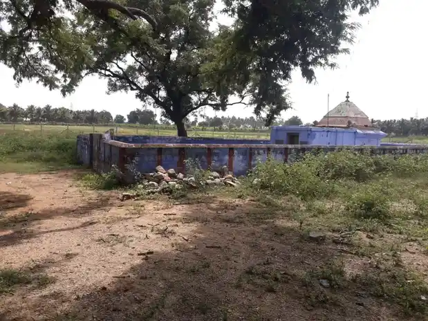 Arulmigu Selandiamman Temple, Vepanvalasu - 624613 அருள்மிகு செல்லாண்டியம்மன் கோயில், Vepanvalasu - 624613, Dindigul - Ancient Temple Architecture and History Image 4