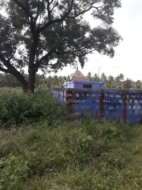 Arulmigu Selandiamman Temple, Vepanvalasu - 624613 அருள்மிகு செல்லாண்டியம்மன் கோயில், Vepanvalasu - 624613, Dindigul - Ancient Temple Architecture and History Image 6