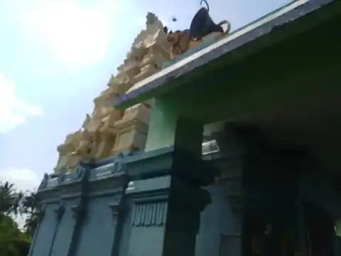 Arulmigu Seliamman Temple, Veeramangudi, Veeramangudi - 613204 அருள்மிகு செல்லியம்மன் ஆலயம், Veeramangudi, Veeramangudi - 613204, Thanjavur - Ancient Temple Architecture and History Image 2