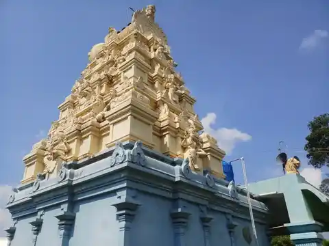 Arulmigu Seliamman Temple, Veeramangudi, Veeramangudi - 613204 அருள்மிகு செல்லியம்மன் ஆலயம், Veeramangudi, Veeramangudi - 613204, Thanjavur - Ancient Temple Architecture and History Image 3