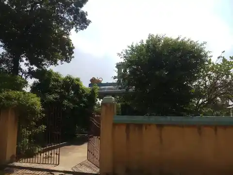 Arulmigu Seliamman Temple, Veeramangudi, Veeramangudi - 613204 அருள்மிகு செல்லியம்மன் ஆலயம், Veeramangudi, Veeramangudi - 613204, Thanjavur - Ancient Temple Architecture and History Image 6