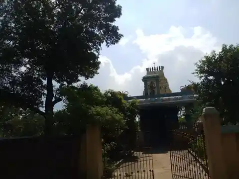 Arulmigu Seliamman Temple, Veeramangudi, Veeramangudi - 613204 அருள்மிகு செல்லியம்மன் ஆலயம், Veeramangudi, Veeramangudi - 613204, Thanjavur - Ancient Temple Architecture and History Image 7