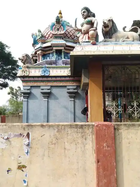 Arulmigu Seliamman Vagayara Temple, Senniyanallur, Senniyanallur - 609801