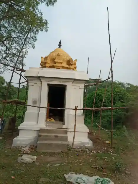 Arulmigu Sella Ayyanar Temple, Natham Kali, Nathamkali - 609811 Temple